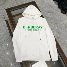 Picture of Burberry Hoodies _SKUBurberryM-5XLkdtn1310236